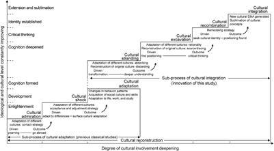 Deep Cross-Cultural Reconstruction Process in the Context of Cultural Potential: A Qualitative Study